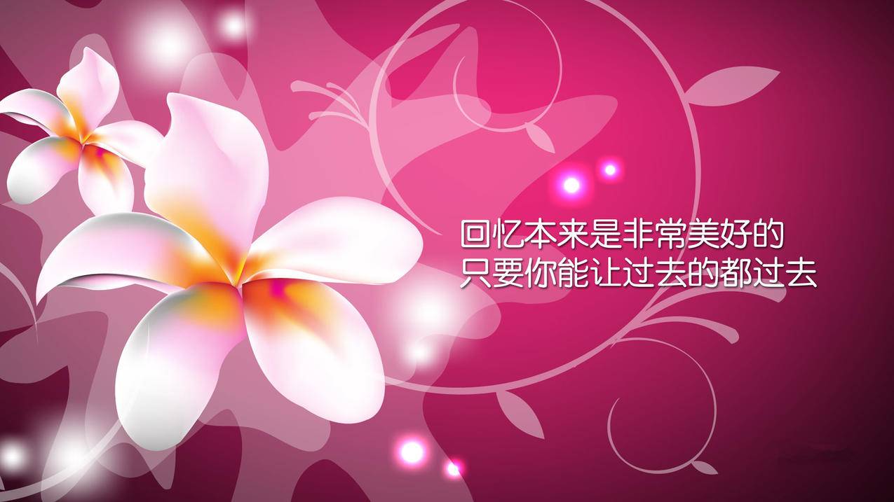 真人砍价助力网-赞快手秒到账-抖音粉丝下单链接秒到账